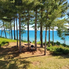 The Bluff Beach Hutch