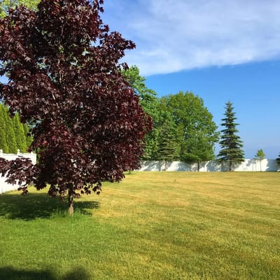Lake Michigan Beachfront Home Near Mackinac Ferry